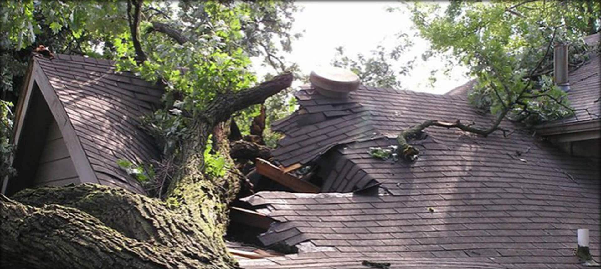 Storm Damage